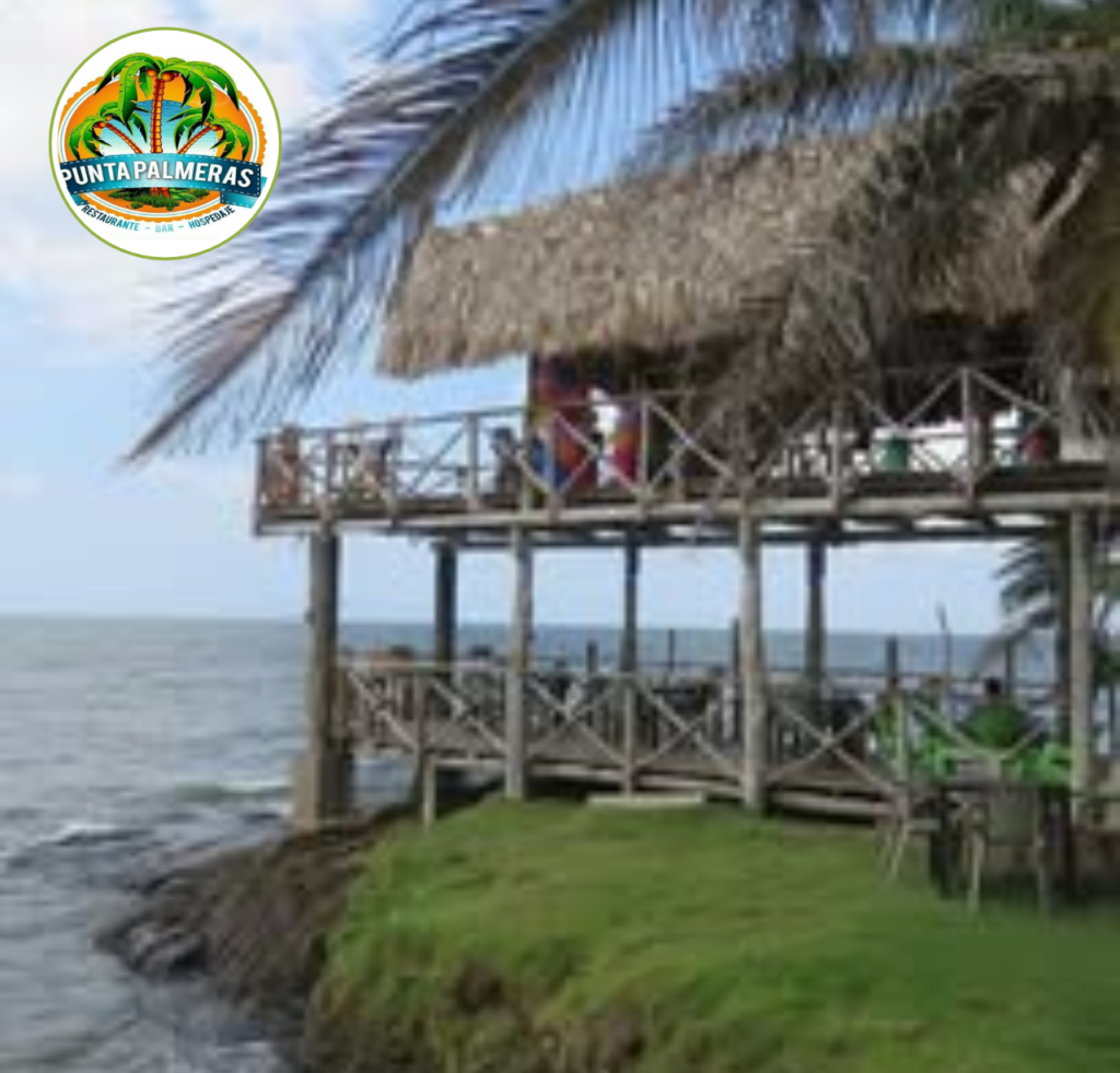 Unidas en la adversidad: hoy acompañamos a Punta Palmeras